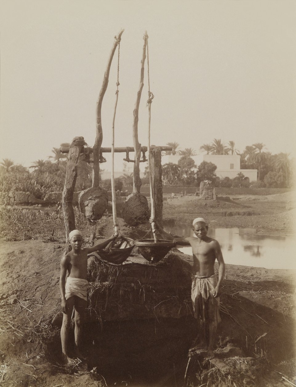 Sehadouf, Luksor autorstwa Antonio Beato