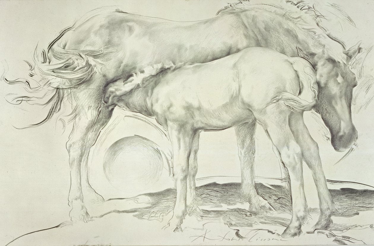 Konie w Coolmore, 1990 (węgiel na papierze) autorstwa Antonio Ciccone