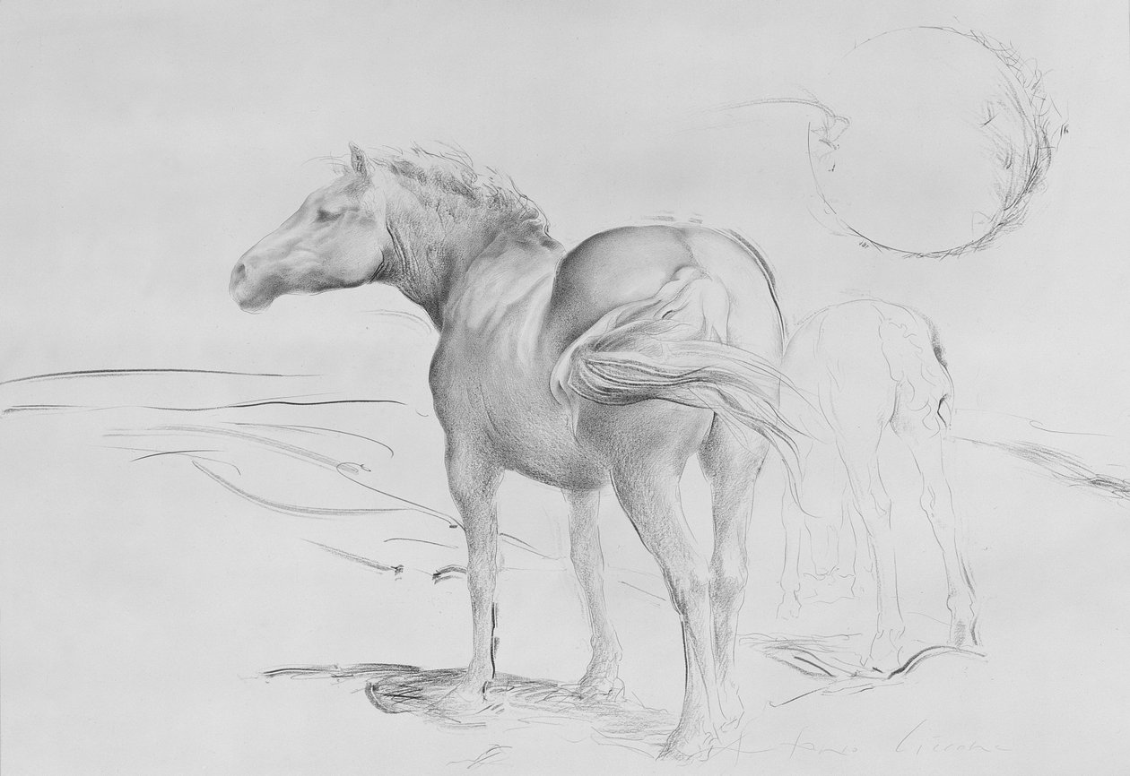 Konie w Coolmore, 1990 (węgiel na papierze) autorstwa Antonio Ciccone