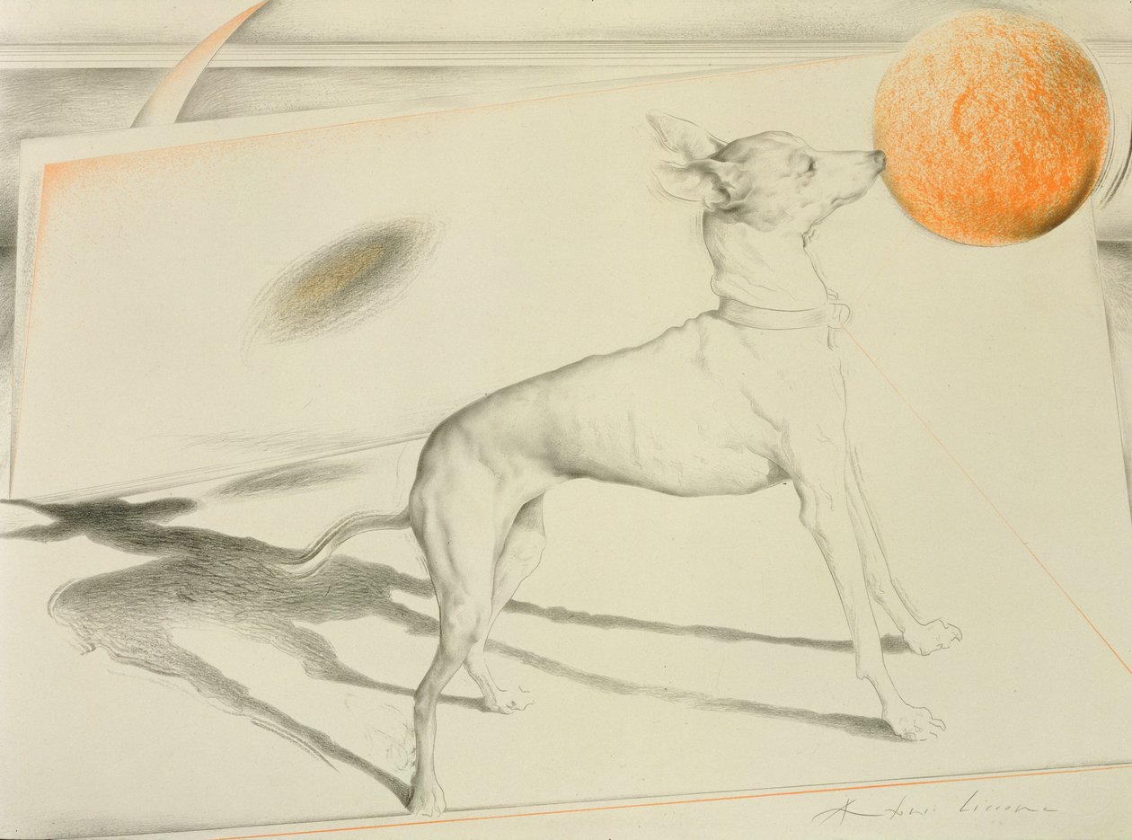 Space Dog (węgiel i pastel na papierze) autorstwa Antonio Ciccone