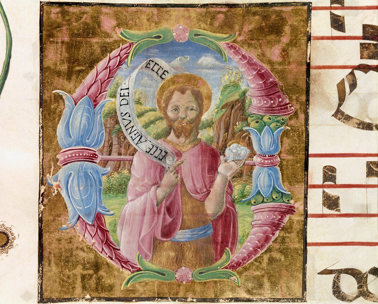 Św. Jan Chrzciciel Lettryna iluminowana przez Antonio Cicognari. Szczegół antyfonarz. 1483. Cremone, chór 4, kapituła katedralna autorstwa Antonio Cicognara