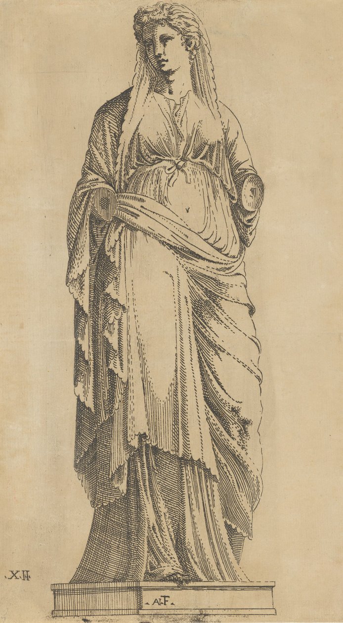Kobieta pełna twarz, głowa lekko przekrzywiona w lewo, ca. 1543. autorstwa Antonio Fantuzzi