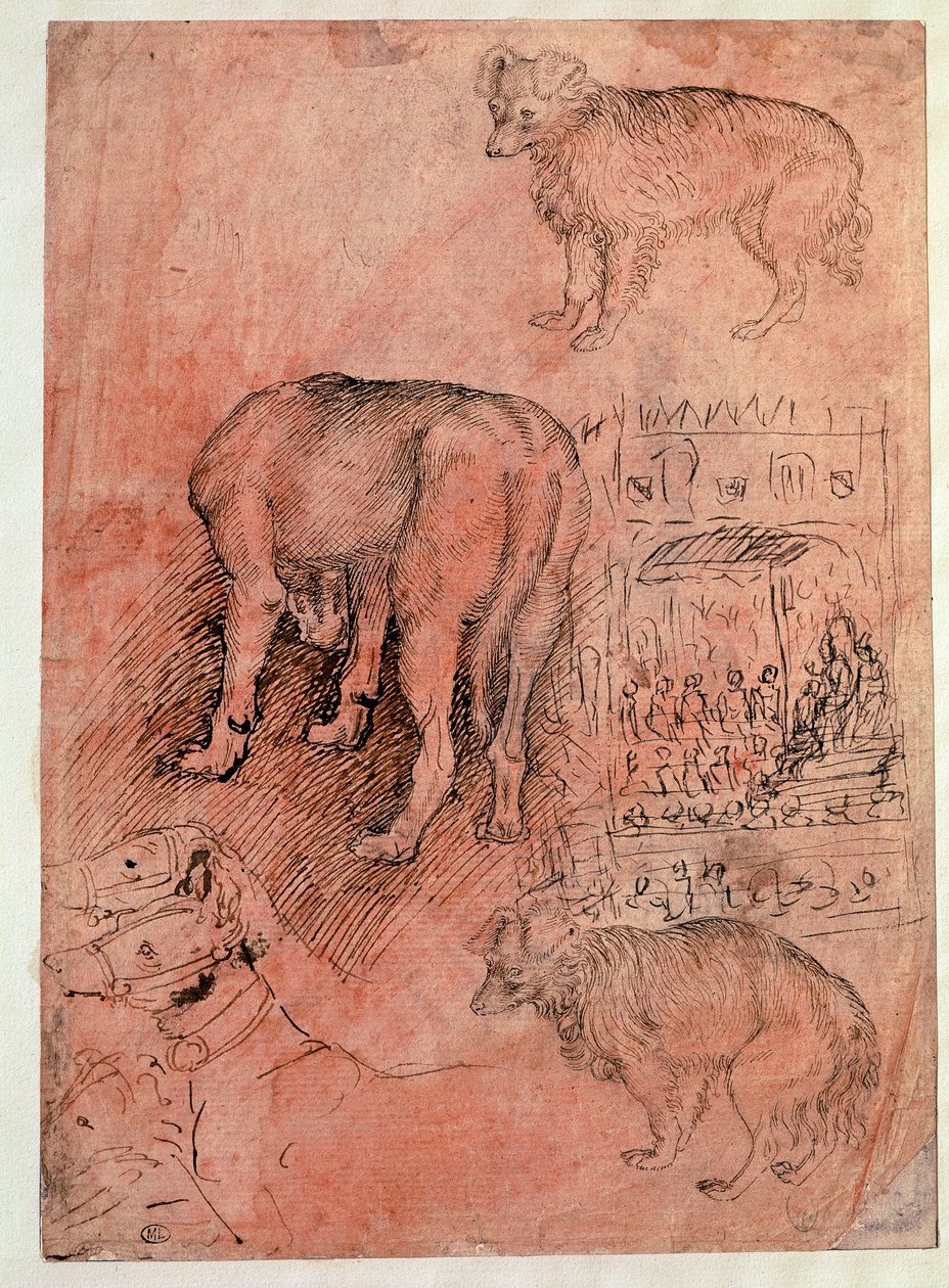 Badania psów. Odcinek Aulic. Rysunek autorstwa Antonio Pisano dit il Pisanello (1380-1455) autorstwa Antonio Pisanello