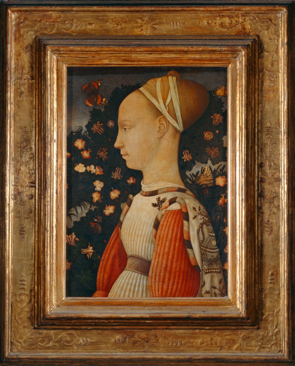 Ginevra d