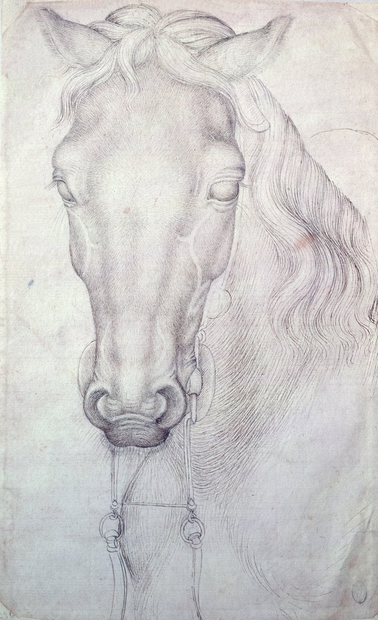 Žirgų polo vadovas autorstwa Antonio Pisanello