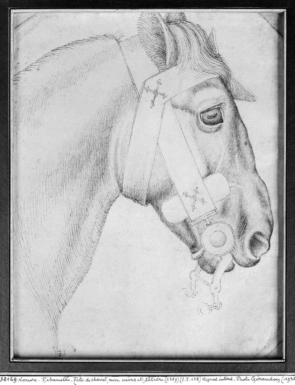 Głowa konia, z albumu Vallardi (pióro i atrament na papierze) (zdjęcie bw) autorstwa Antonio Pisanello