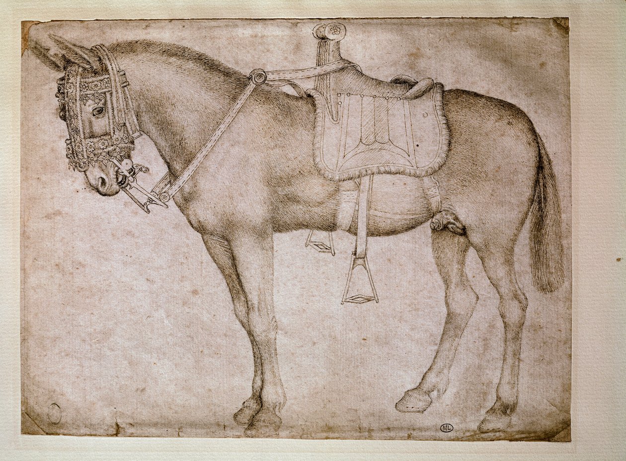 Uprząż dla mułów. Rysunek autorstwa Antonio Pisano dit il Pisanello (1380-1455) autorstwa Antonio Pisanello