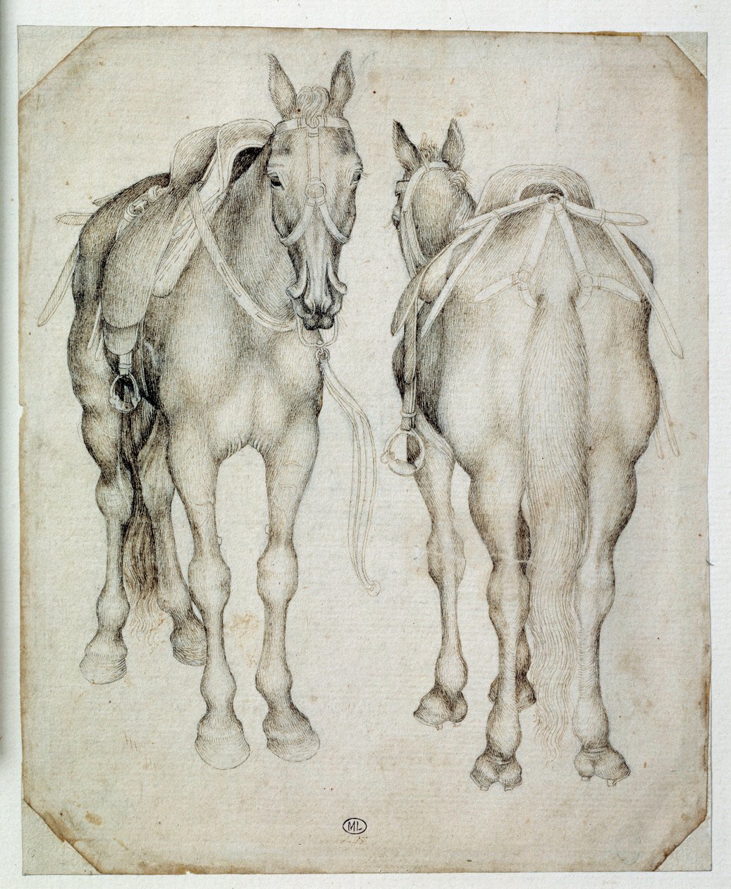 Dwie uprzęże, widziane w trzech czwartych, jedna z przodu, druga z tyłu. Rysunek Pisano Antonio di Puccio dit Pisanello (1395-1455) autorstwa Antonio Pisanello