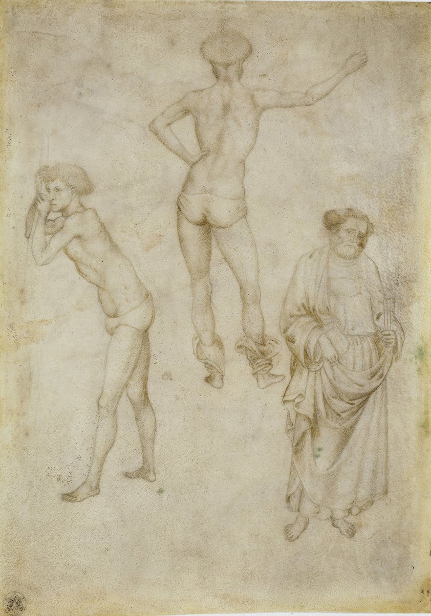 Dwa studia postaci męskich i św. Piotr, 1430-1435 autorstwa Antonio Pisanello