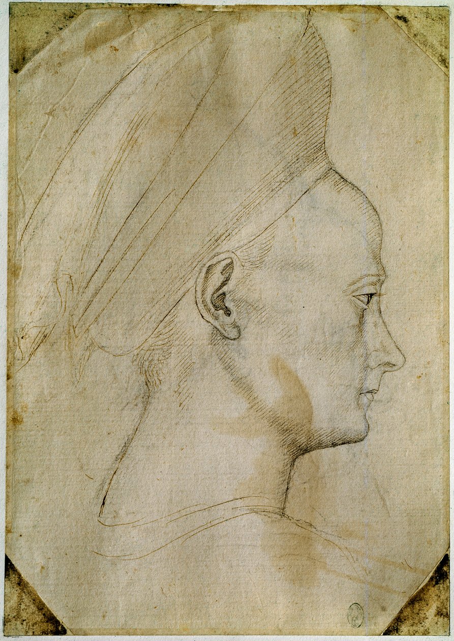 Głowa młodej kobiety, z profilu po prawej stronie. Rysunek warsztatu Antonio di Puccio Pisano dit Pisanello (1395-1455). Brązowy atrament, czarny kamień, piórko. Wymiary: 24,6x17,2 cm. Luwr, Gabinet dessins. autorstwa Antonio Pisanello