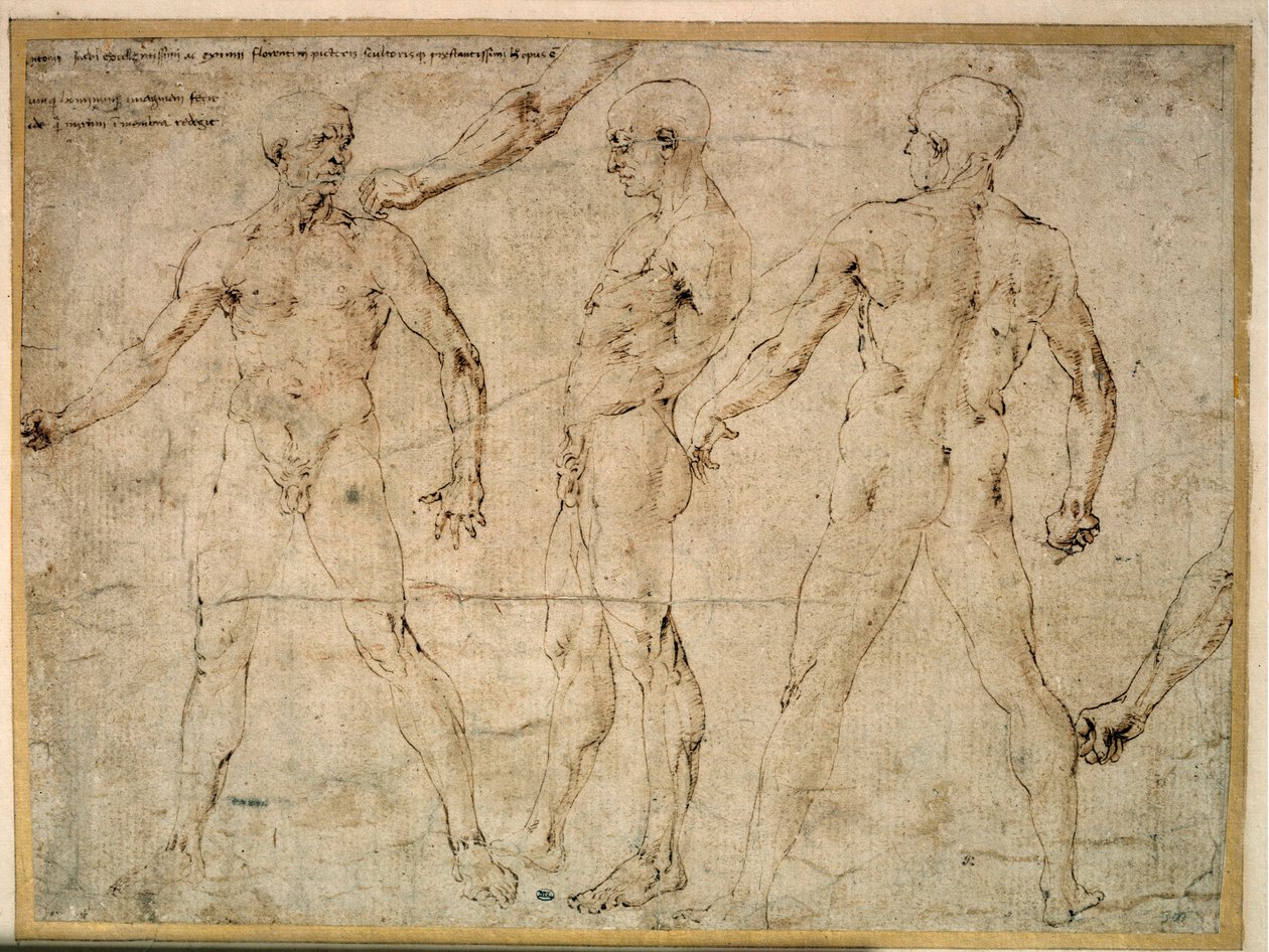 Trzech nagich mężczyzn. Rysunek autorstwa Antonio Pollaiuolo (Pollaiolo) (1432-1498) autorstwa Antonio Pollaiuolo