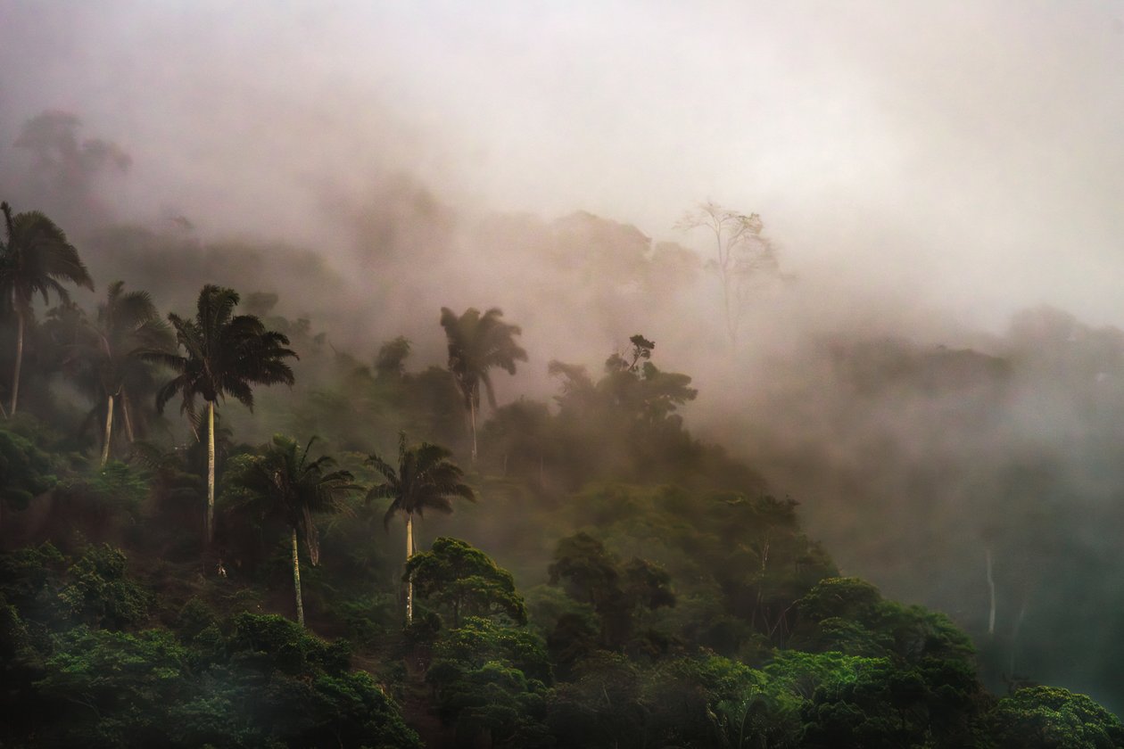 Corcovado XIX, 2020 (zdjęcie cyfrowe) autorstwa Antonio Schubert
