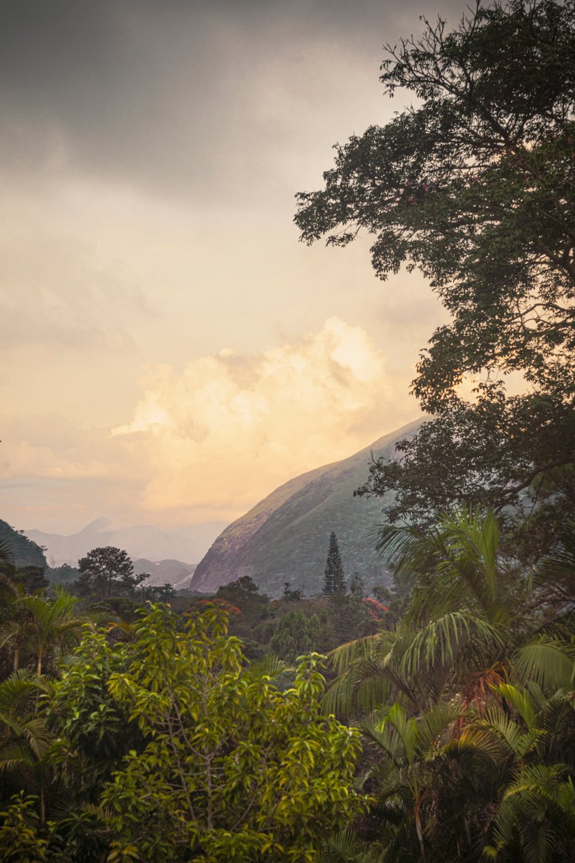 Serra dos Órgãos VIII, Petrópolis, Rio de Janeiro, Brazylia, 2025 r. (zdjęcie) autorstwa Antonio Schubert