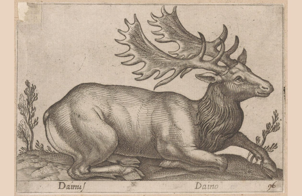 Damhert Dainus / Daino (tytuł na obiekcie) Dieren en fabelwezens (tytuł serii) Kolekcja Nova najbardziej ciekawskich zwierząt na świecie (tytuł serii) autorstwa Antonio Tempesta