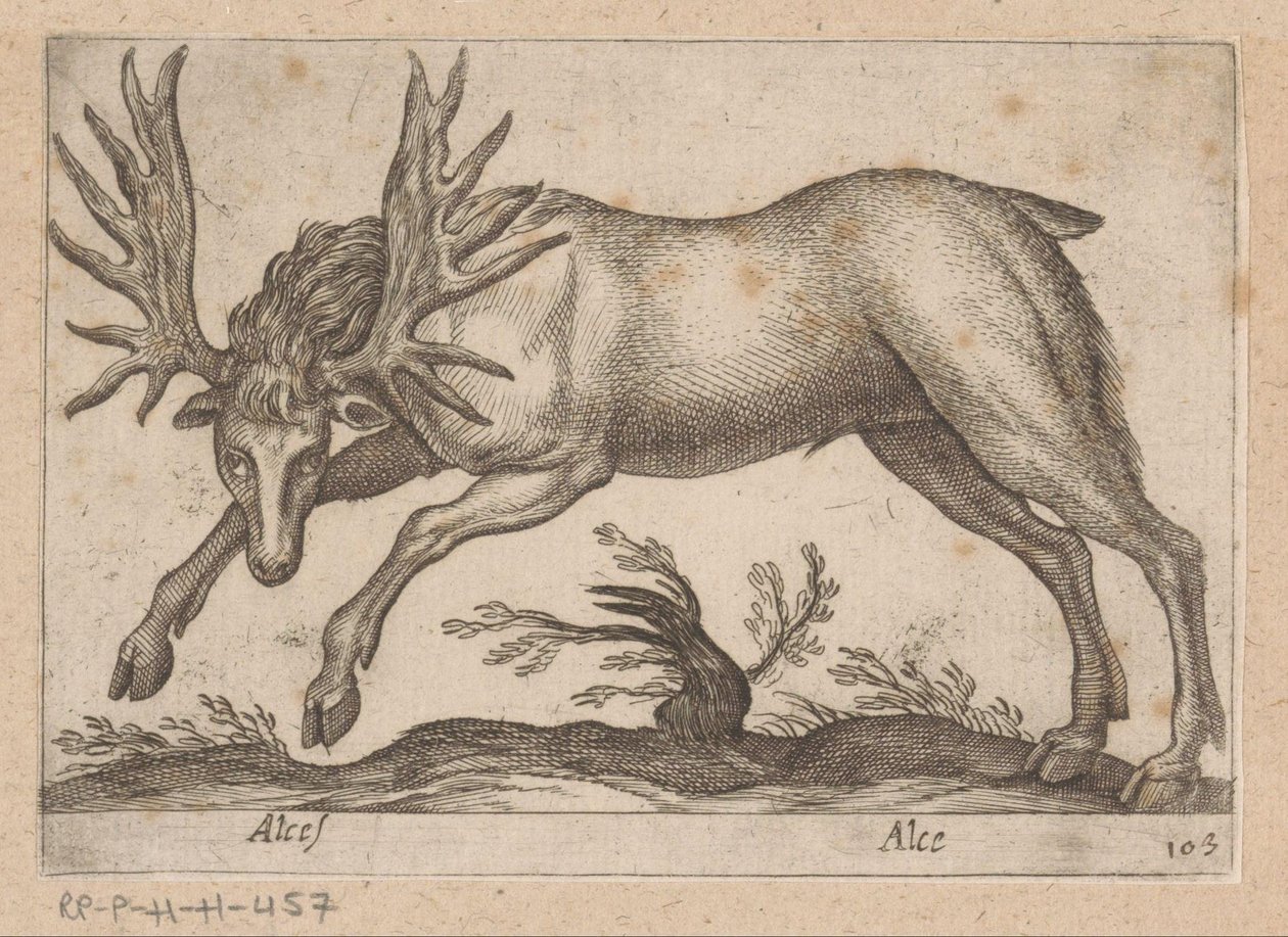 Eland Łoś/ Łoś (tytuł na obiekcie) Dieren en fablewezens (tytuł serii) Nowa kolekcja najciekawszych zwierząt świata (tytuł serii) autorstwa Antonio Tempesta