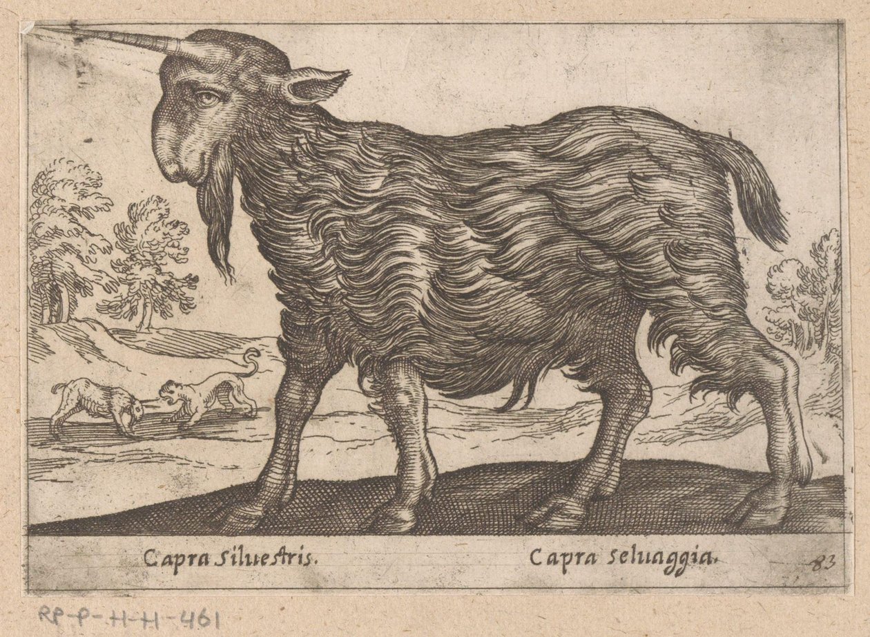 Koza z jednym rogiem Capra Silvestris/ Capra Selvaggia (tytuł na obiekcie) Dieren en fablewezens (tytuł serii) Nowa kolekcja najciekawszych zwierząt świata (tytuł serii) autorstwa Antonio Tempesta
