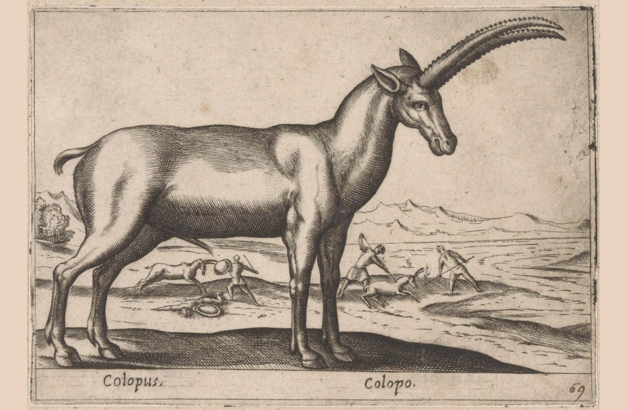 kozia Colopus/ Colopo (tytuł na obiekcie) Dieren en fablewezens (tytuł serii) Nowa kolekcja najciekawszych zwierząt świata (tytuł serii) autorstwa Antonio Tempesta