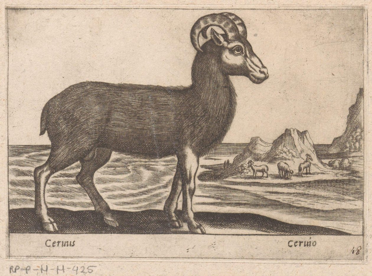 Klejnoty Cerinis / Ceruio (tytuł na obiekcie) Dieren en fabelwezens (tytuł serii) Kolekcja Nova najbardziej ciekawskich zwierząt na świecie (tytuł serii) autorstwa Antonio Tempesta