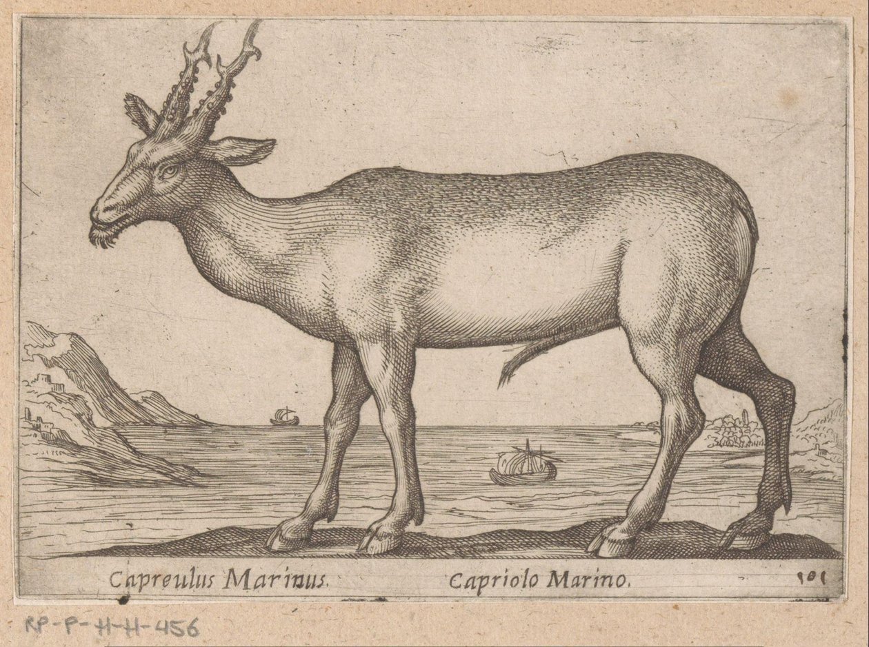 Hert Capreulus Marinus/ Capriolo Marino (tytuł na obiekcie) Dieren en fablewezens (tytuł serii) Nowa kolekcja najciekawszych zwierząt świata (tytuł serii) autorstwa Antonio Tempesta