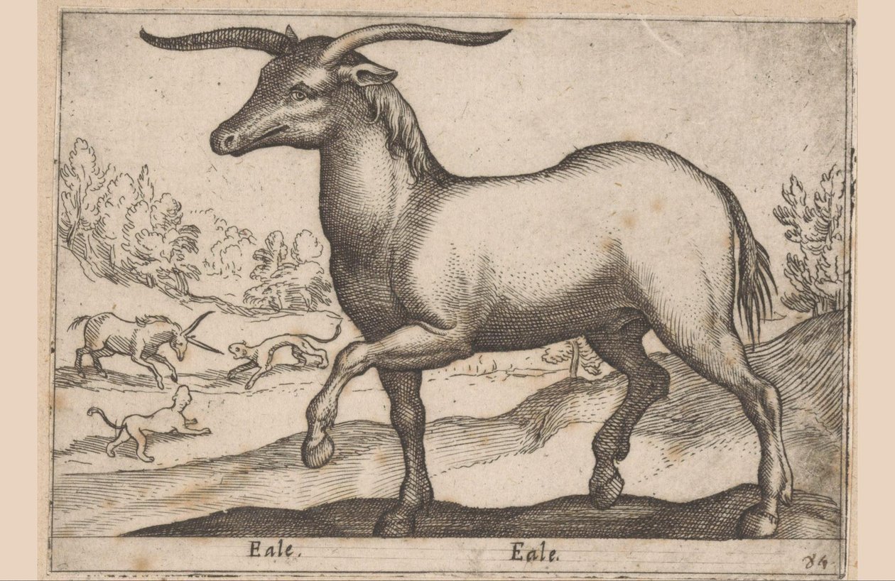 Koń z rogami Eale/Eale (tytuł na obiekcie) Zwierzęta i mityczne stworzenia (tytuł serii) Nova raccolta de li animali piu curiosi del mondo (tytuł serii) autorstwa Antonio Tempesta