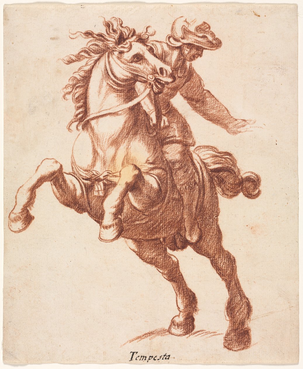 Steigendes Pferd und Reiter autorstwa Antonio Tempesta
