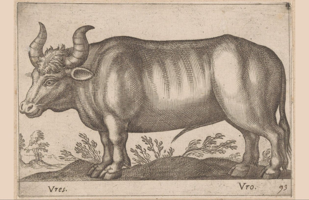 Okrągły Vres/ Vro (tytuł na obiekcie) Zwierzęta i mityczne stworzenia (tytuł serii) Nova raccolta de li animali piu curiosi del mondo (tytuł serii) autorstwa Antonio Tempesta