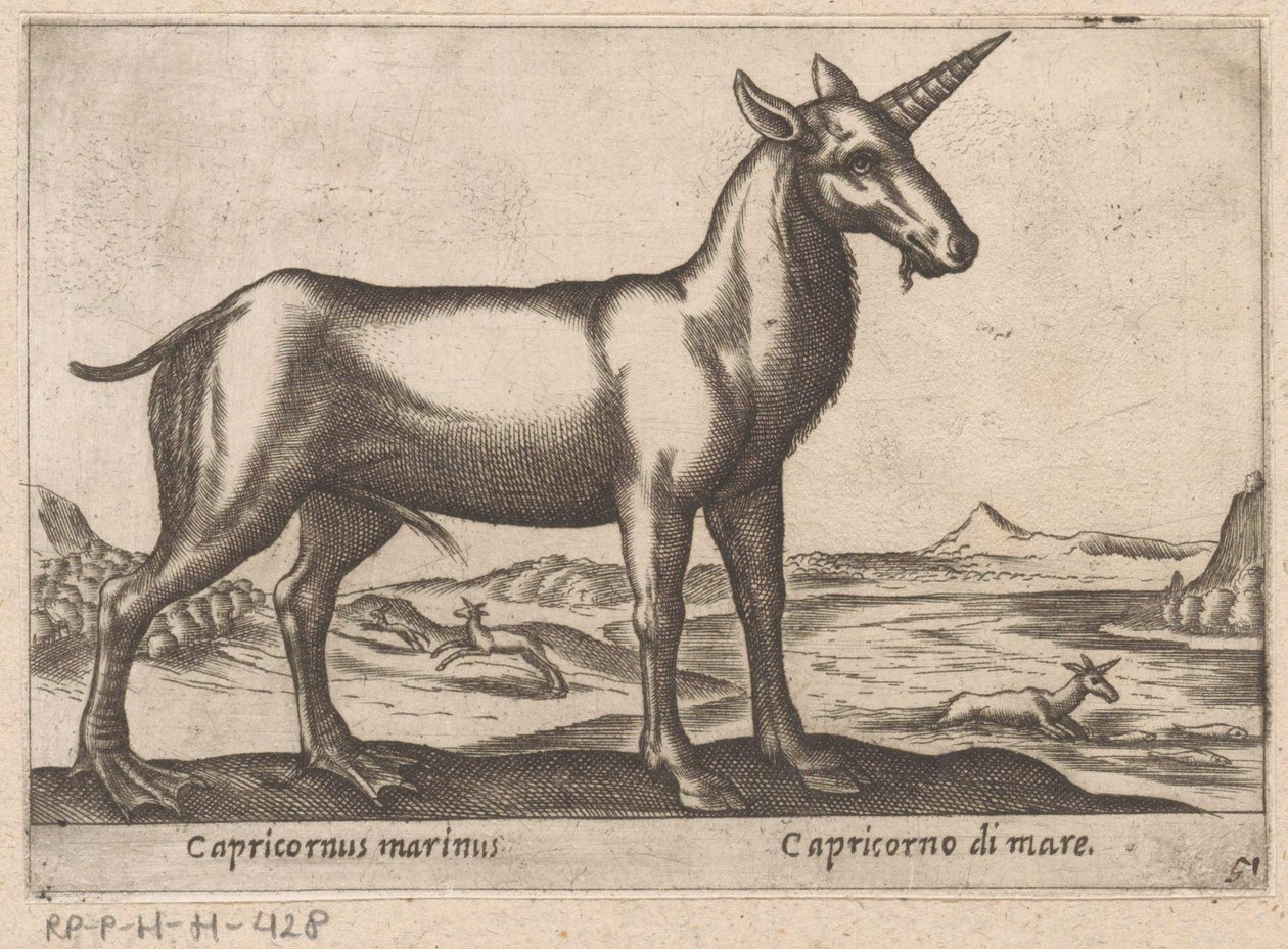 Koziorożec jako zwierzę morskie Capricornus marinus/ Capricorno di mare (tytuł na obiekcie) Zwierzęta i mityczne stworzenia (tytuł serii) Nova raccolta de li animali piu curiosi del mondo (tytuł serii) autorstwa Antonio Tempesta