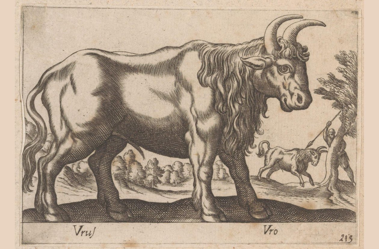 Byk Vrus/ Vro (tytuł na obiekcie) Dieren en fablewezens (tytuł serii) Nowa kolekcja najciekawszych zwierząt świata (tytuł serii) autorstwa Antonio Tempesta