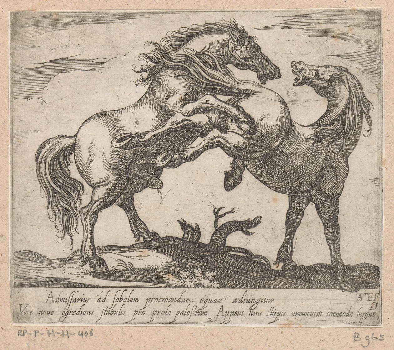 Twee parende paarden Paarden uit verschiedelden landen (tytuł serii) Z tymi przywódcami będziesz uhonorowany jako przywódca z ustami viroru. autorstwa Antonio Tempesta