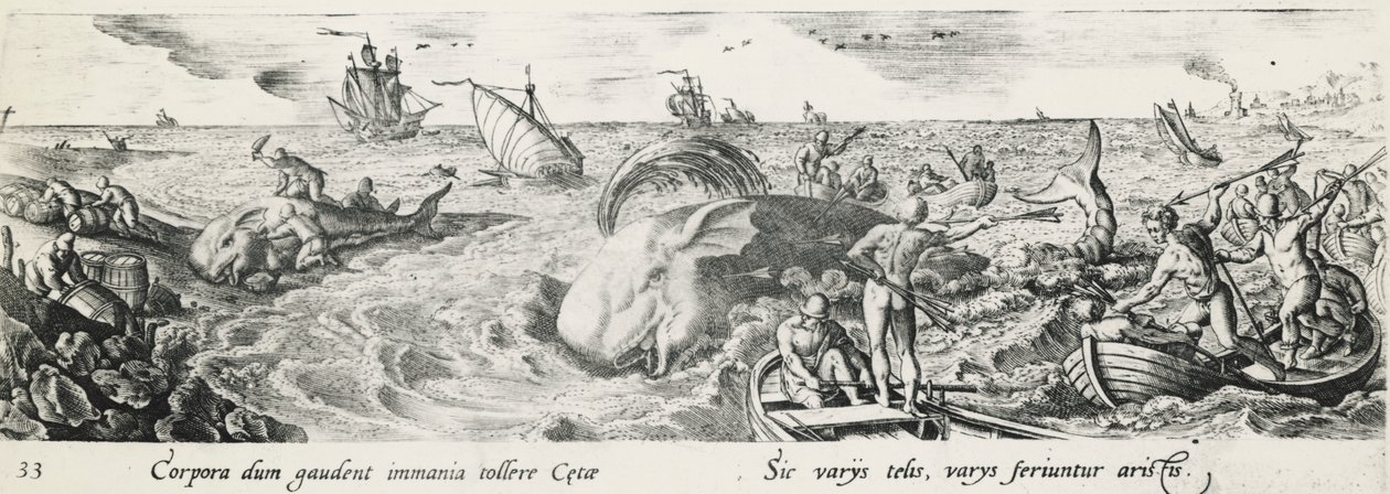 Polowanie na wieloryby, Antonio Tempesta (1555-1630), rycina, Włochy autorstwa Antonio Tempesta