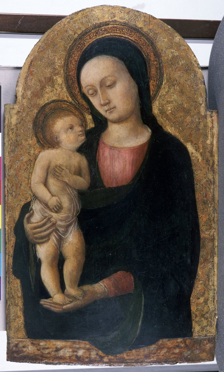 Madonna z Dzieciątkiem, ok. 145060 (tempera na drewnie) autorstwa Antonio Vivarini