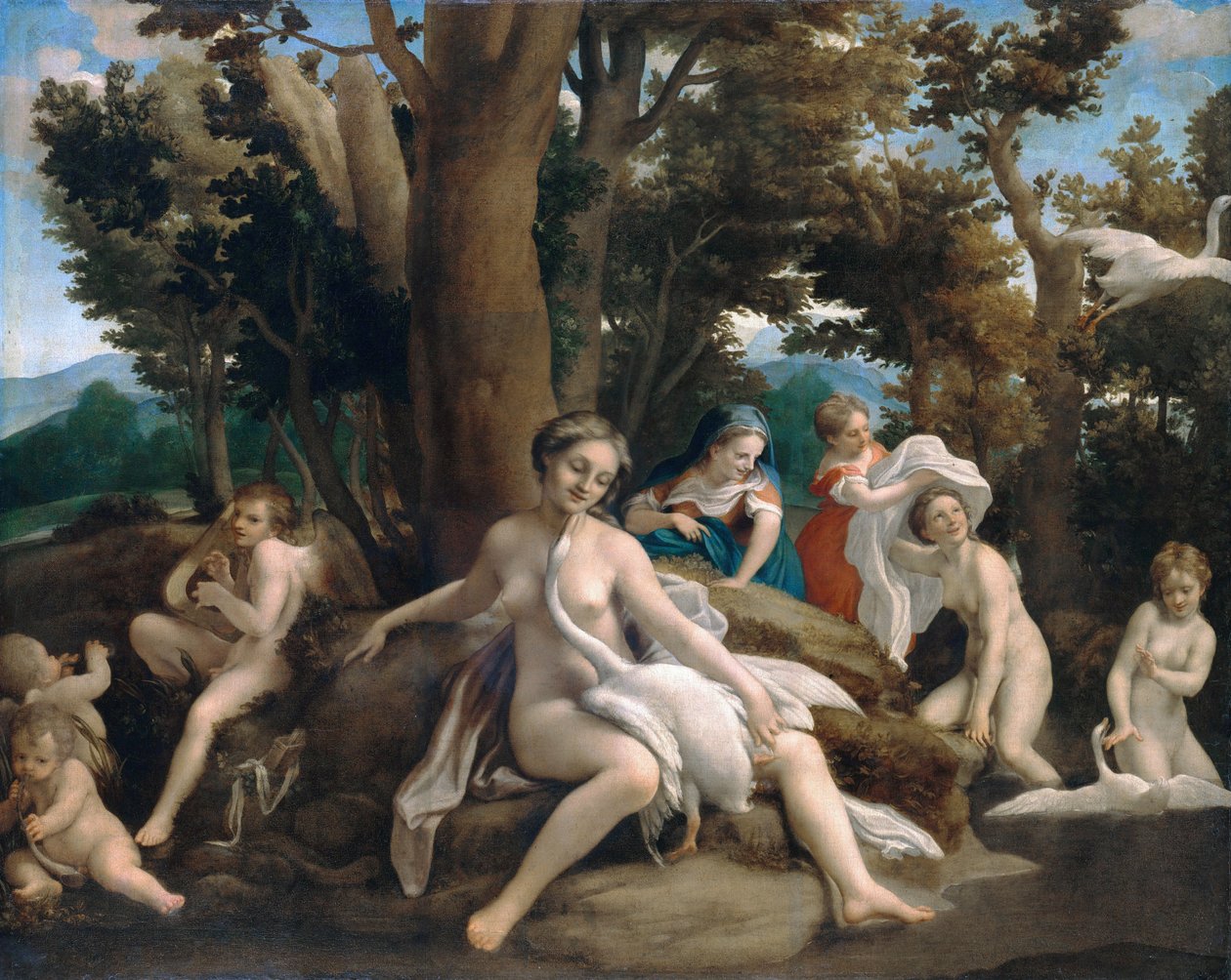 Leda i łabędź autorstwa Antonio da Correggio