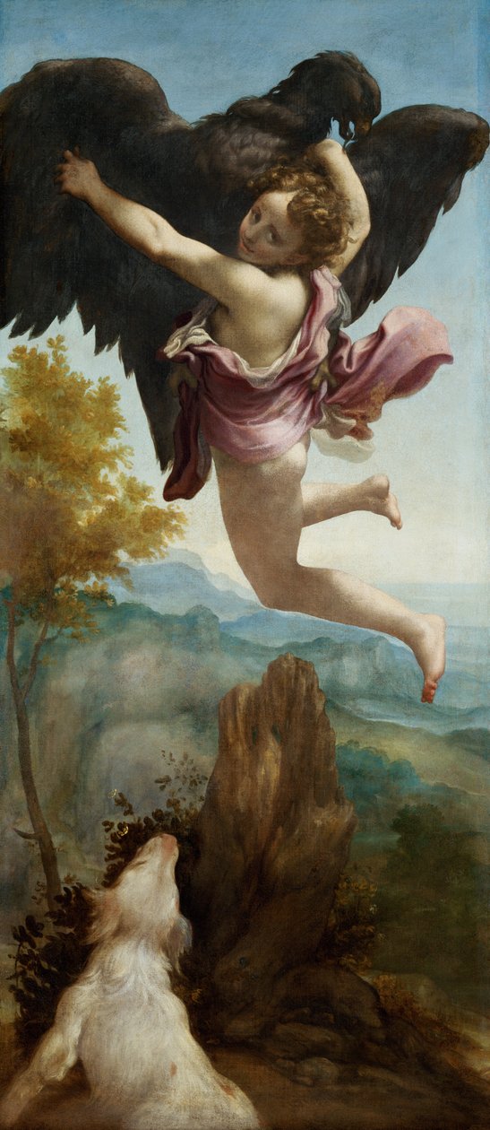 Uprowadzenie Ganimedesa autorstwa Antonio da Correggio