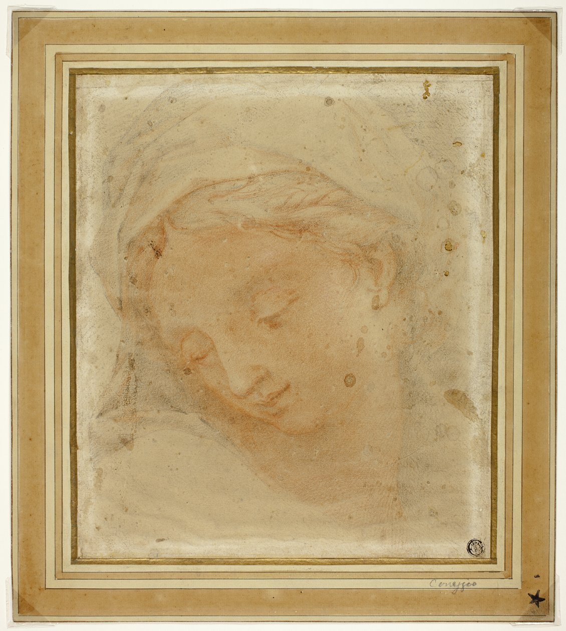 Głowa kobiety autorstwa Antonio da Correggio