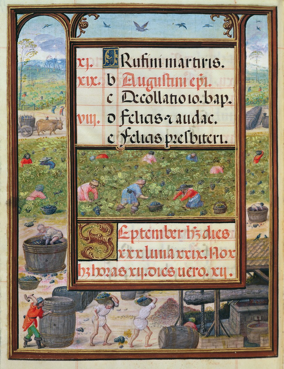 Miesiąc wrzesień, miniatury z „Księgi Godzin Dom Manuela”, 1517-38 (tempera na welinie) autorstwa Antonio de Hollanda