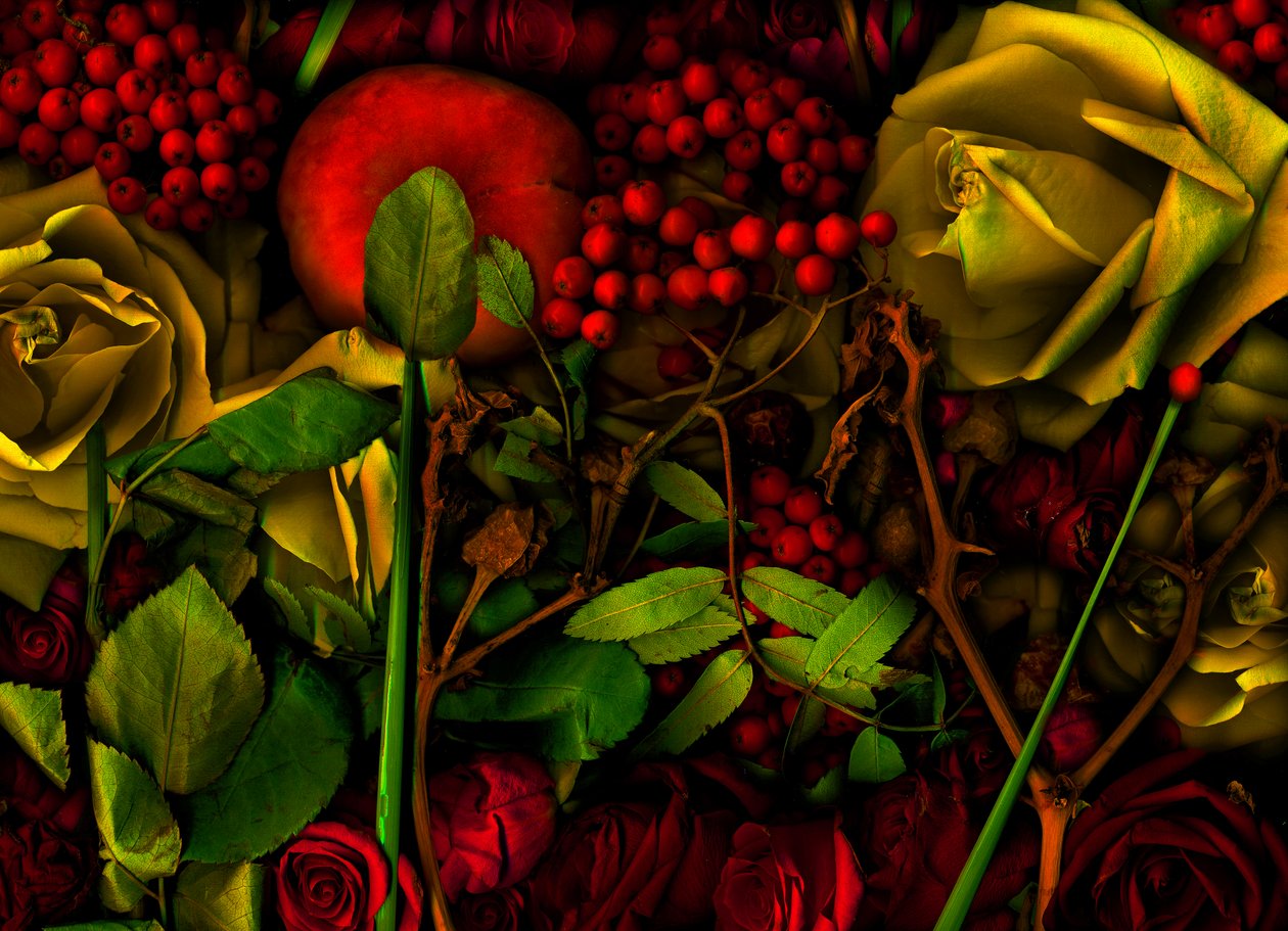  autorstwa Antonius Antonius