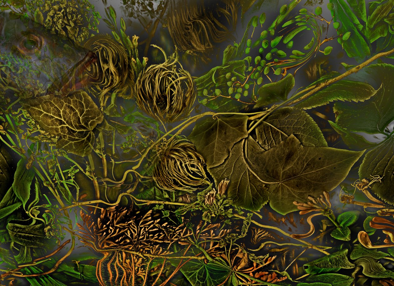  autorstwa Antonius Antonius