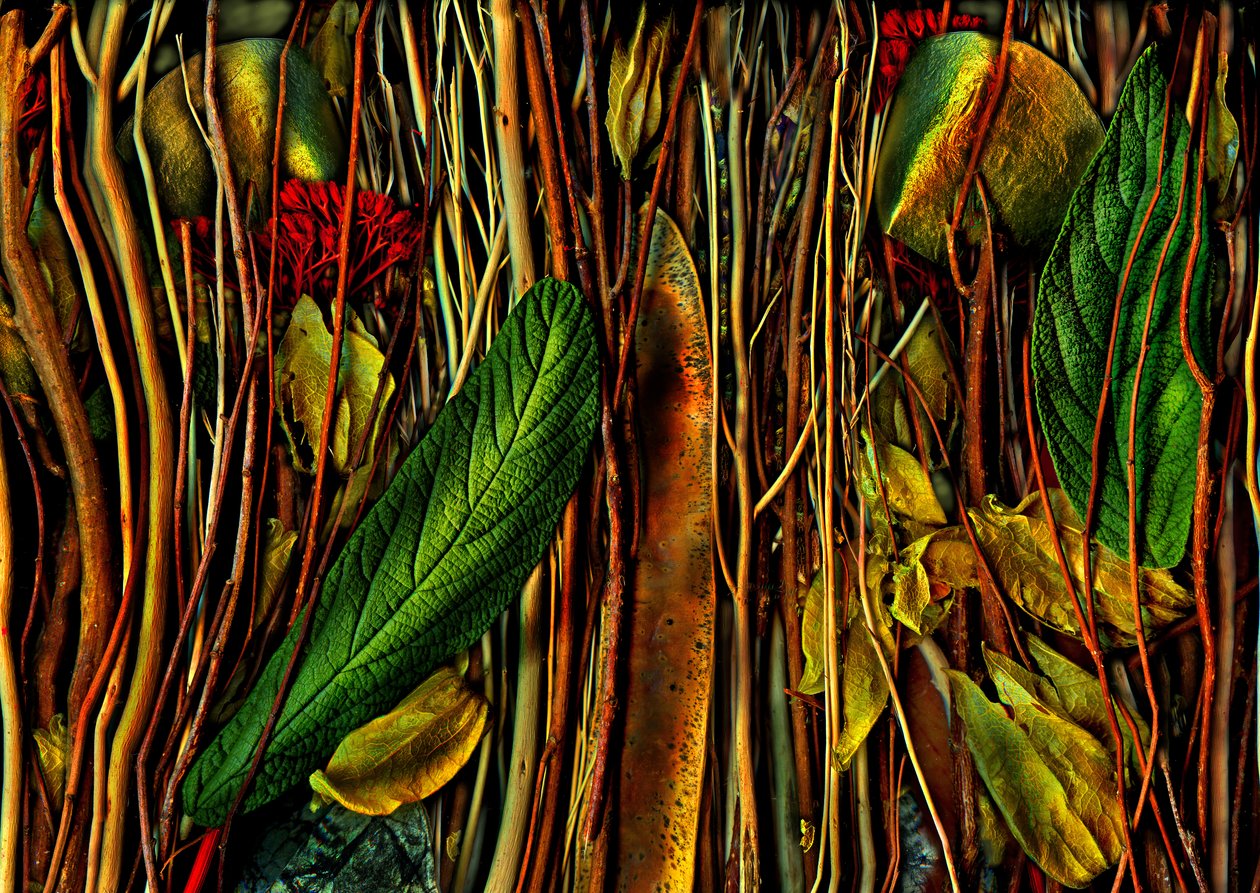  autorstwa Antonius Antonius