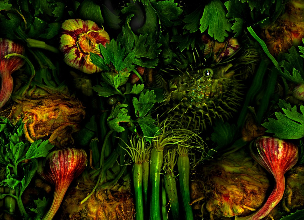 Inne światy nr 20, 2017 (zdjęcie) autorstwa Antonius Antonius