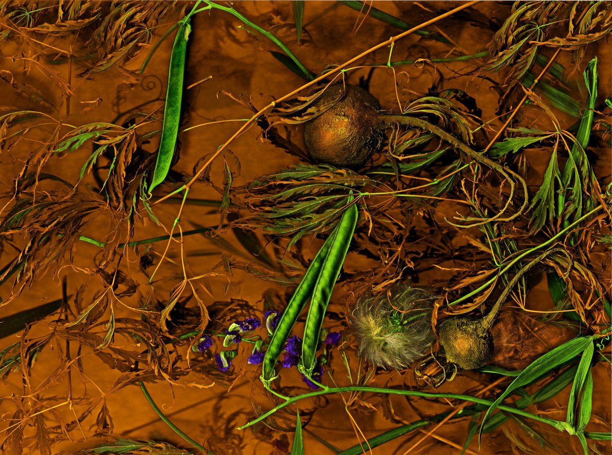 Earthart nr 2, 2014 (zdjęcie) autorstwa Antonius Antonius