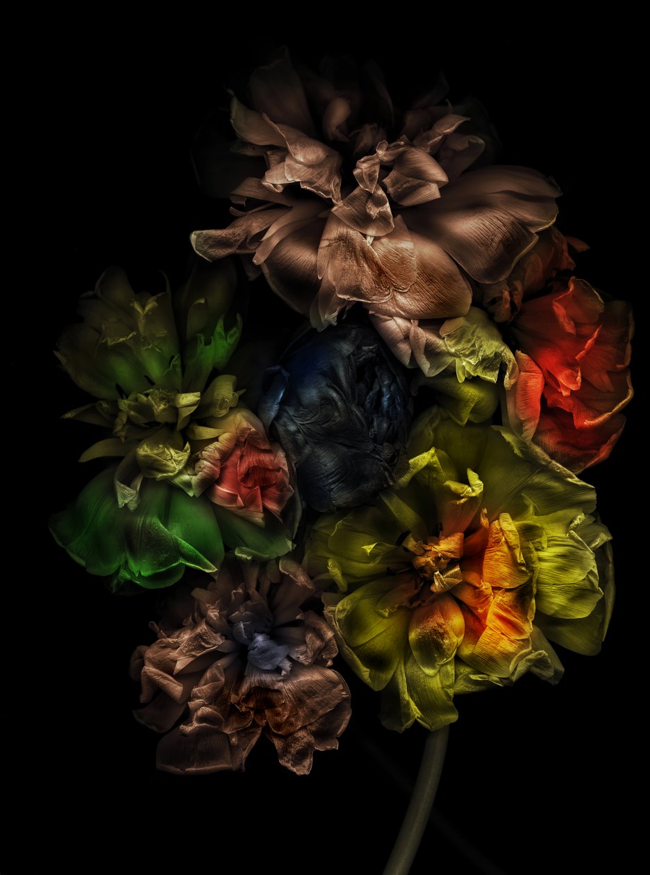  autorstwa Antonius Antonius