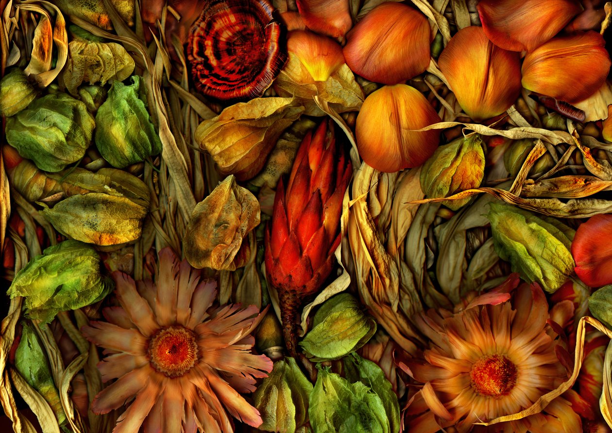  autorstwa Antonius Antonius