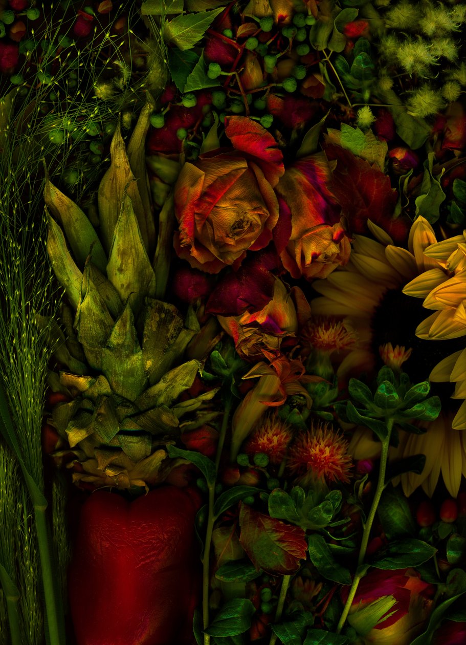 Magiczny ogród nr 26, 2011 (zdjęcie) autorstwa Antonius Antonius