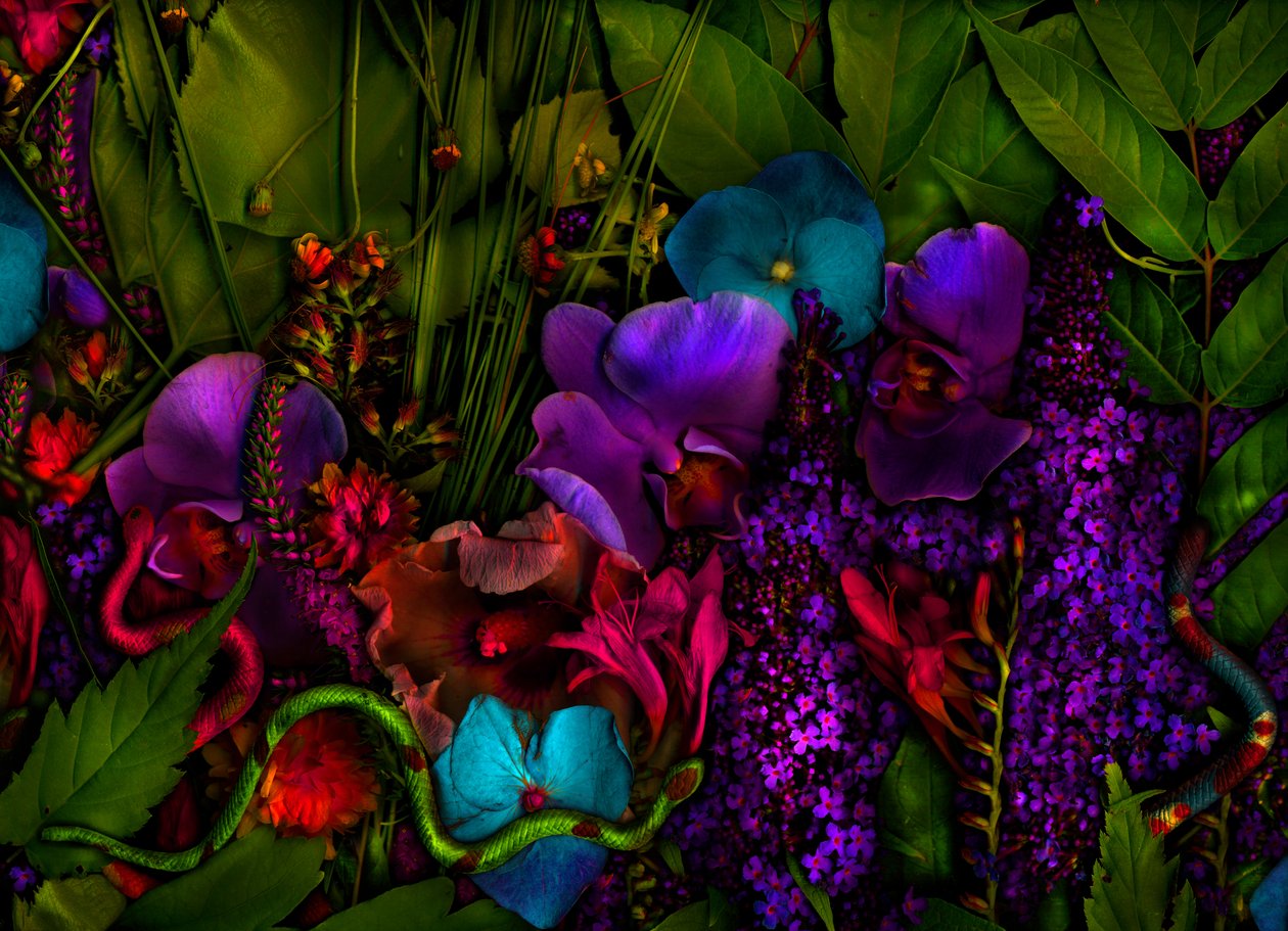  autorstwa Antonius Antonius