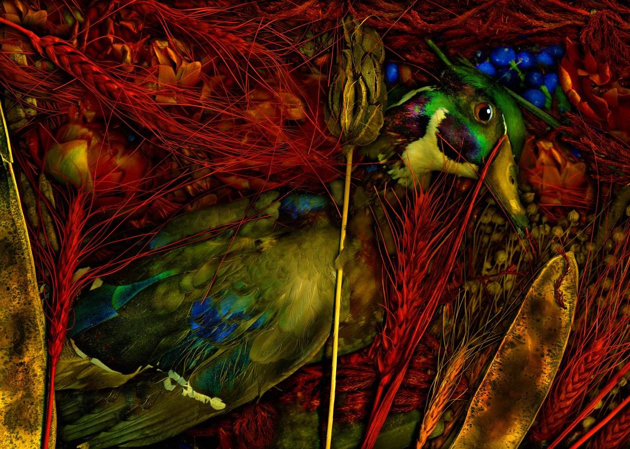  autorstwa Antonius Antonius