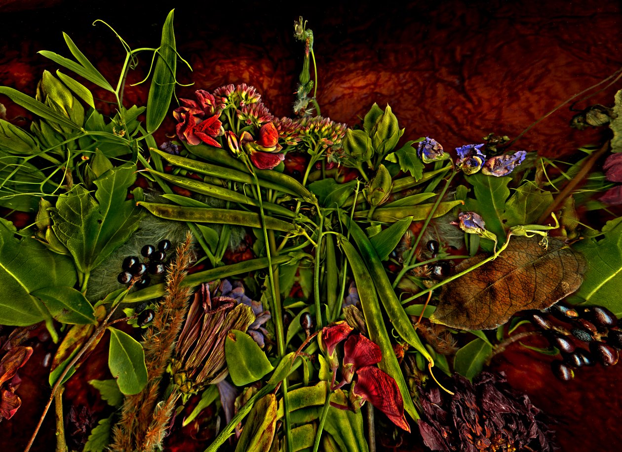 Martwa natura m 3, 2014 (zdjęcie ilustracyjne) autorstwa Antonius Antonius