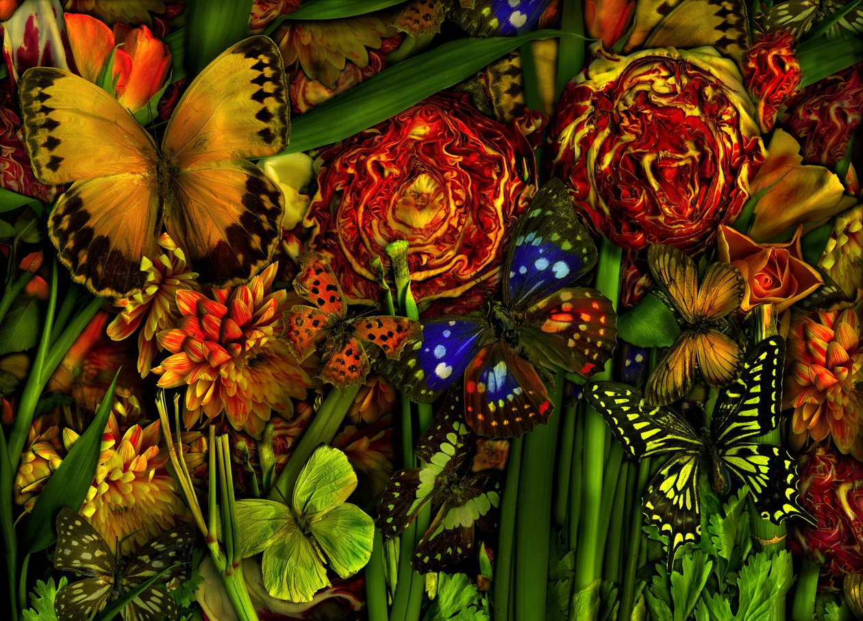 Summertime, 2012 (zdjęcie) autorstwa Antonius Antonius