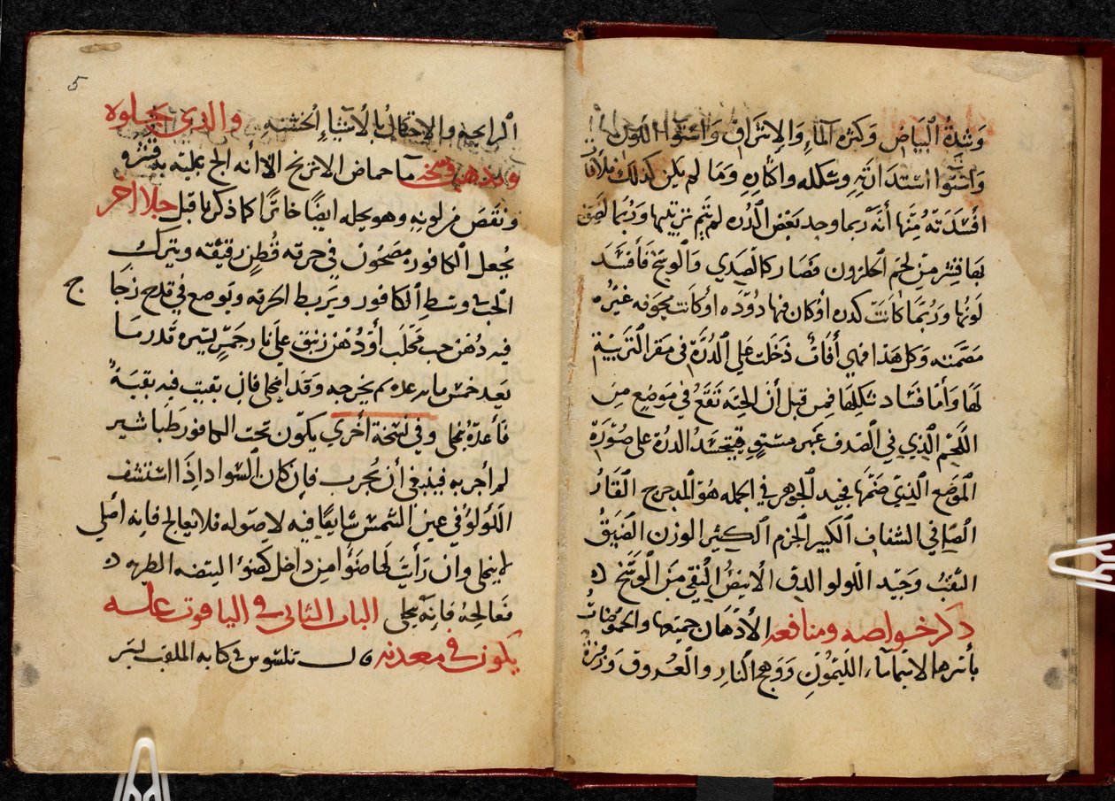 Strony z rękopisu, skopiowanego w 799 r. AH/AD 1397, Kitab al-Ahjar lub Book on Gemstones Ahmada bin Yusufa Al-Tifashiego. Or. 1198 autorstwa Arabic School