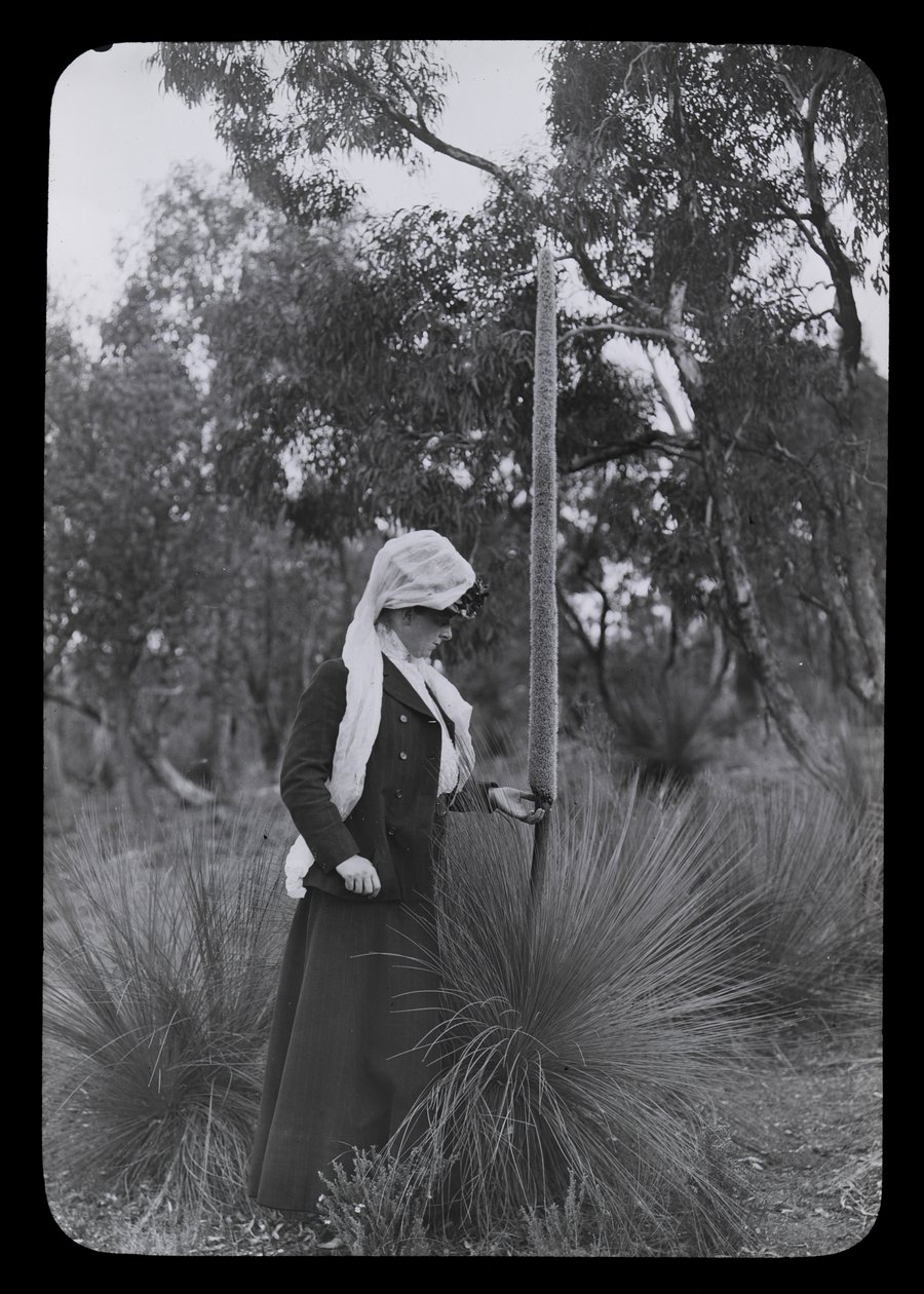 Amy i Xanthorrhoea autorstwa Archibald James Campbell