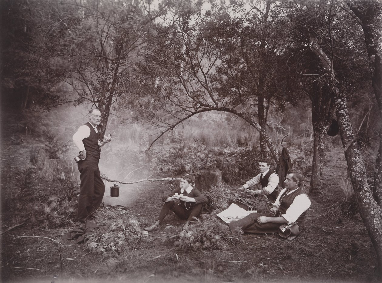 Zbieranie akacji autorstwa Archibald James Campbell